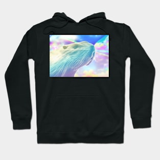 Lowfi capybara Hoodie